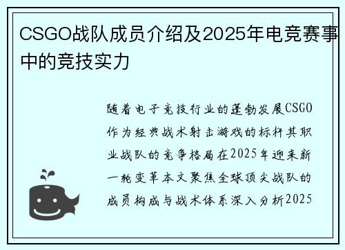 CSGO战队成员介绍及2025年电竞赛事中的竞技实力